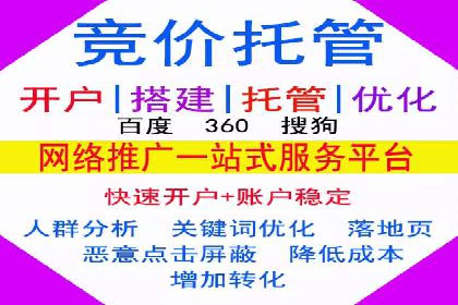 网站SEM托管服务成功案例分享