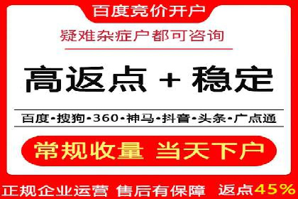 竞价广告的投放策略：XX企业成功案例解析